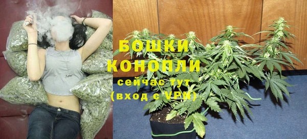 спиды Осинники