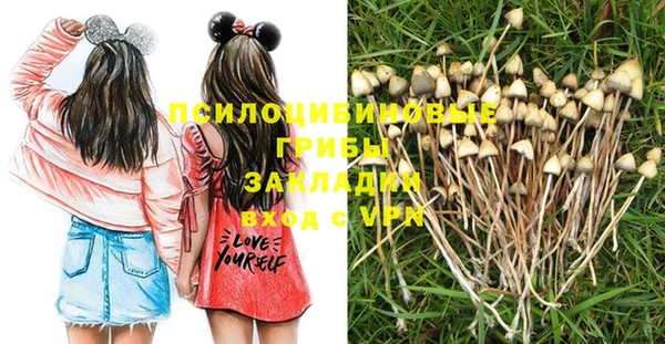 спиды Осинники