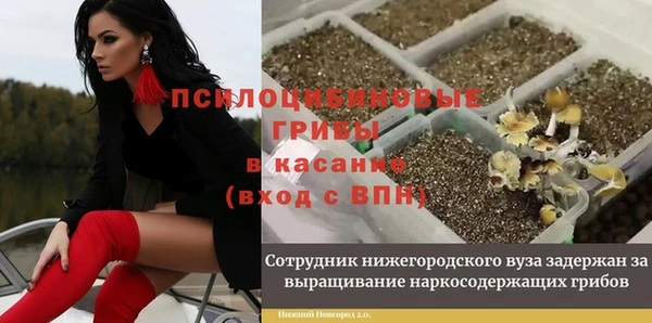 спиды Осинники