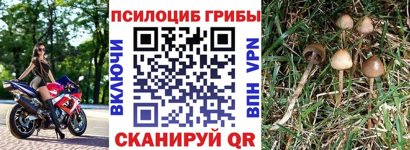 Псилоцибиновые грибы Magic Shrooms Чекалин